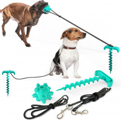 Outdoor Leash Dog Ground Pile Ground Nail Tie Dog Leash Walking Toy