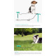 Outdoor Leash Dog Ground Pile Ground Nail Tie Dog Leash Walking Toy