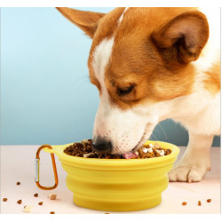 Pet Collapsible Silicone Food and Water Travel Bowl with Clip