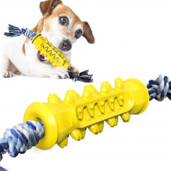 Durable Dog Chew Toy & Rope