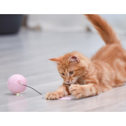 Automatic Electric Moving Cat Toy Balls