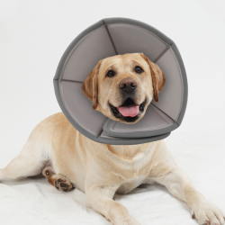 Pet Recovery Cone for Dogs and Cats
