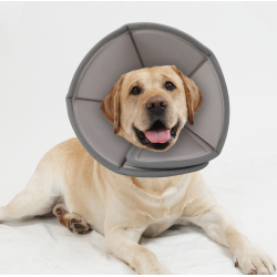Pet Recovery Cone for Dogs and Cats