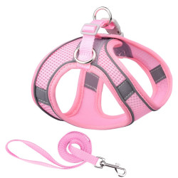 Step in Dog Harness and Leash Set