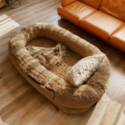 Human Dog Bed